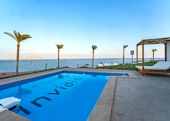 Invidia Coral Tiran 4*