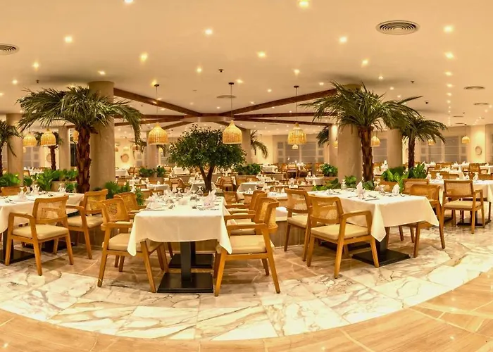 Invidia Coral Tiran 4*